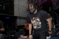 INSECT WARFARE